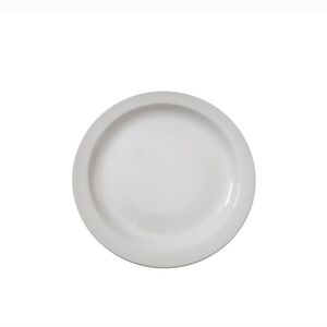Midwinter Stonehengewhite Dinner Plates